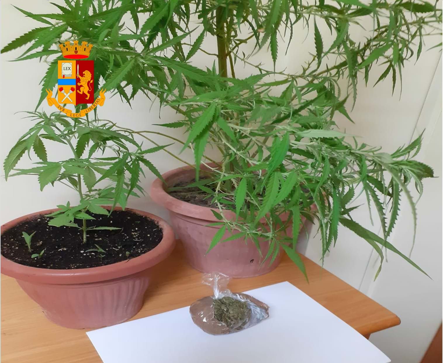 Corigliano Rossano, arrestati coniugi con la passione per la marijuana