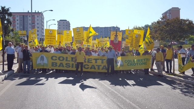 Coldiretti: la Regione si doti di una strategia di controlli sul grano