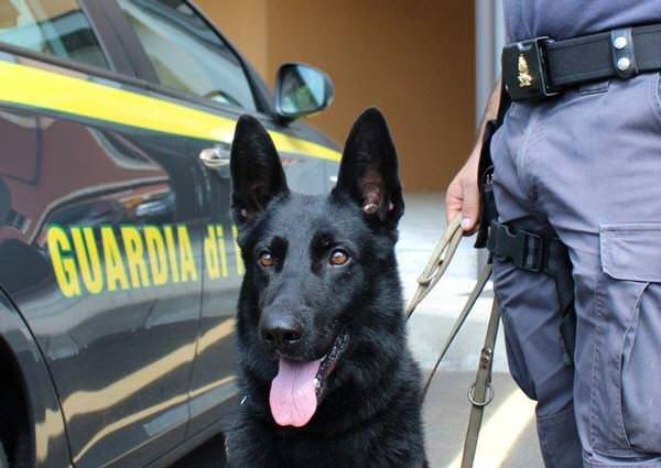 In giro con la droga, “Anita” lo fa acciuffare alla stazione