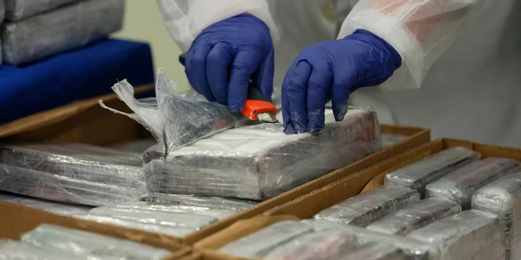 ‘Ndrangheta e mafia albanese, l’unione «in forma confederata» e gli interessi nel narcotraffico