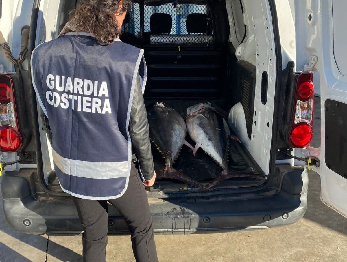 Vibo Valentia, sequestrati due esemplari di tonno rosso
