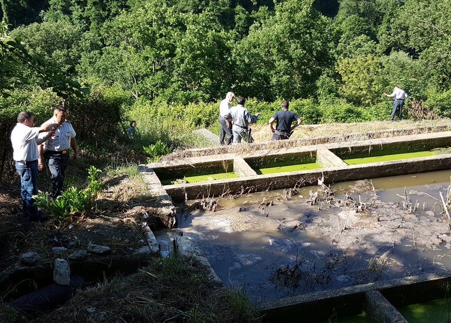 Sequestrati tre depuratori a Scigliano