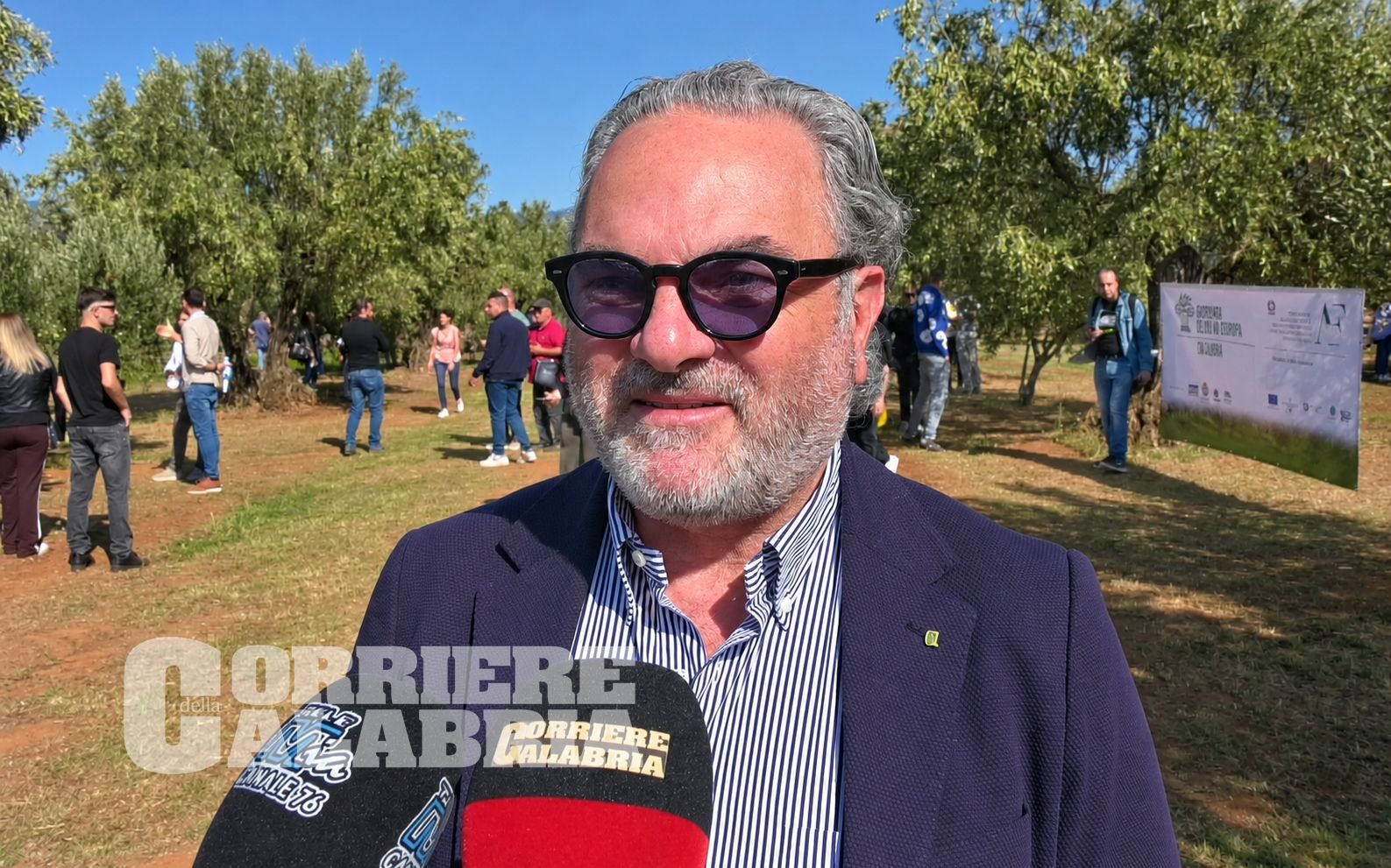 Olivicoltura, Statti: «Innovazione e qualità per rilanciare il settore»