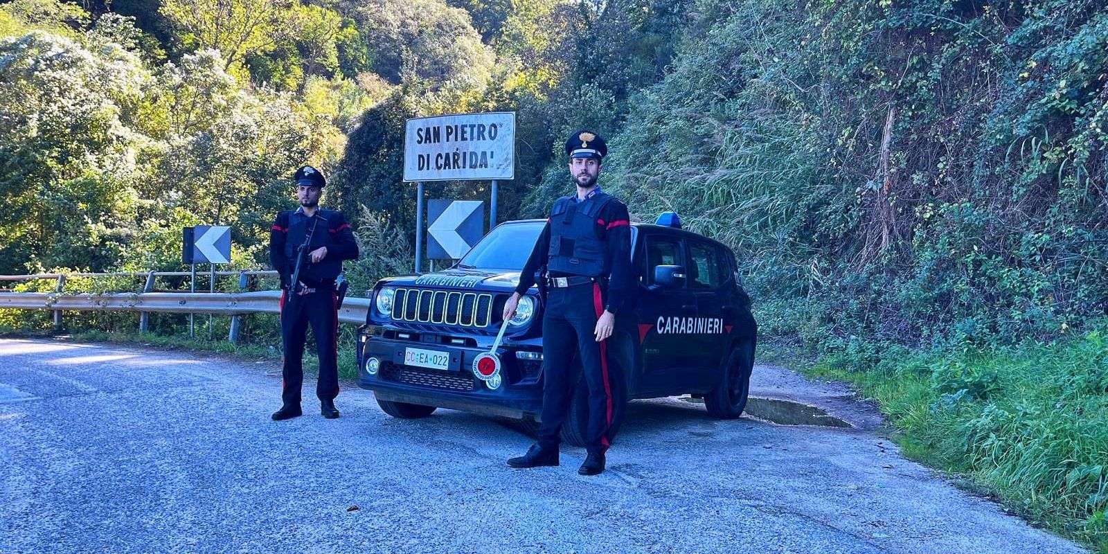 Scoperta una maxi piantagione di cannabis nel Reggino: quattro arresti