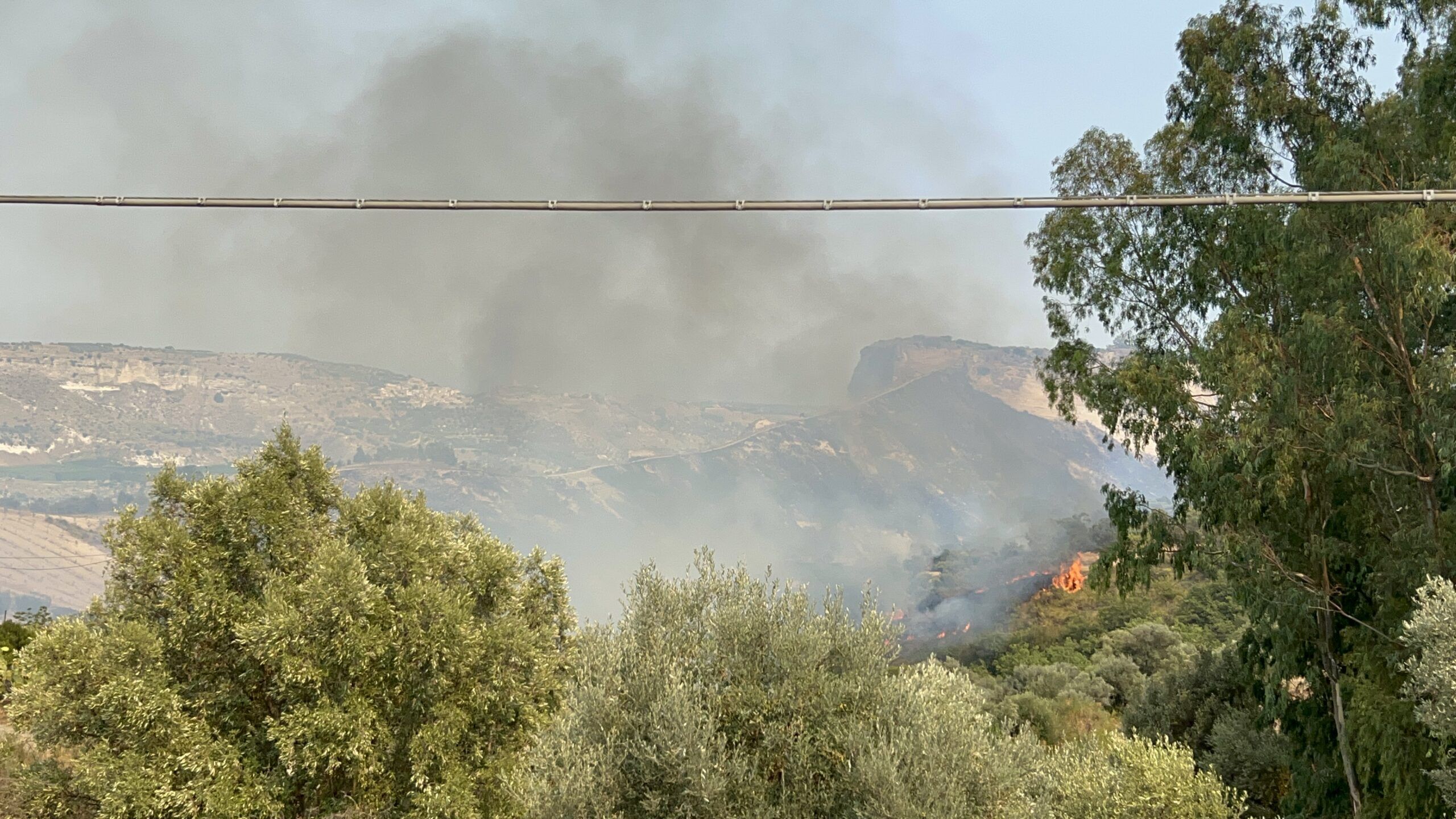 Vasto incendio ad Ardore, in fiamme circa 80 ettari di vegetazione – VIDEO