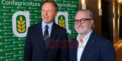 Lollobrigida e STatti Lamezia
