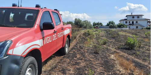 incendio uliveto cessaniti