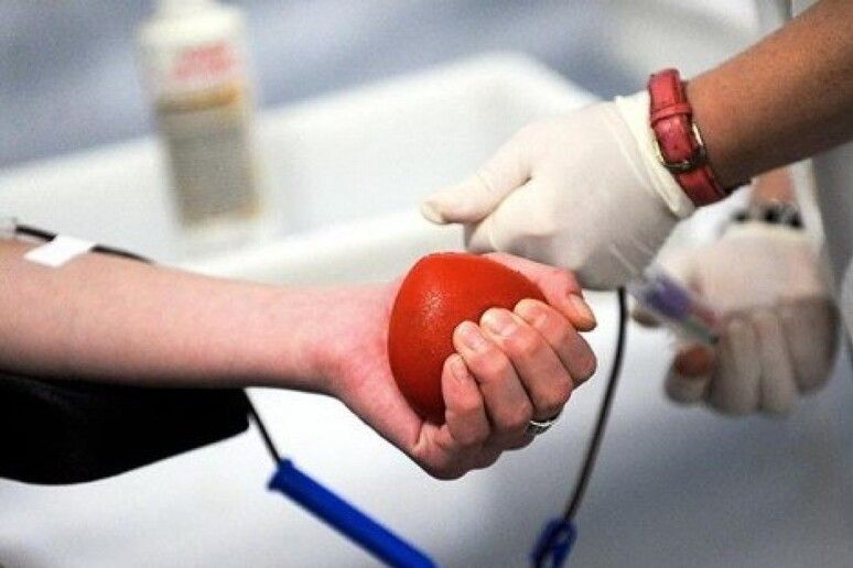 A Vibo la 53esima assemblea regionale Avis