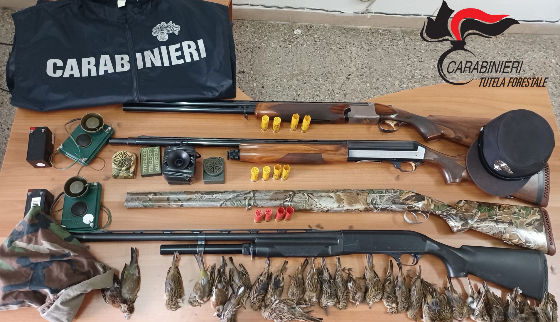 Cacciavano avifauna protetta, due denunce a Terranova da Sibari