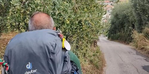 don santino donnici_