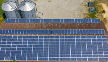 Pnrr, per il bando agrisolare 800 milioni di euro in più: in Calabria già finanziati 977 progetti