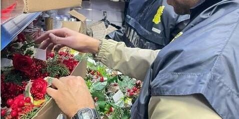 Crotone, la Gdf sequestra oltre 230mila prodotti non sicuri – FOTO