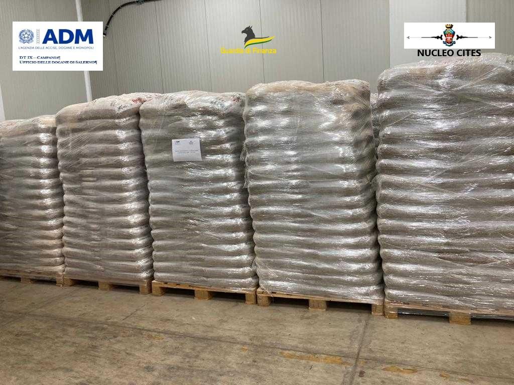 Pellet illegale importato per il mercato (anche) cosentino, denunciato un imprenditore – FOTO