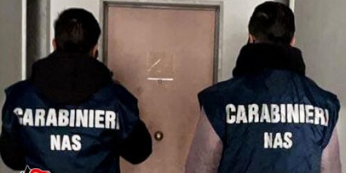 nas casa di riposo reggio