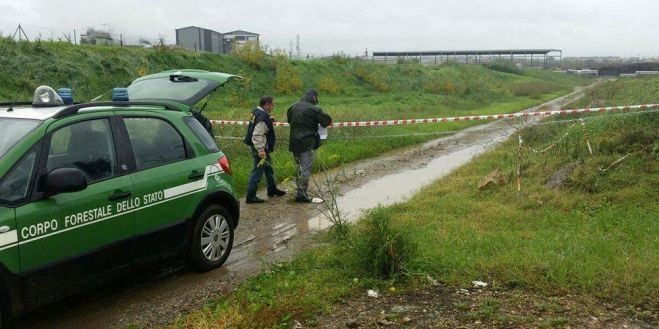 Ex Legnochimica, Manna sentito in Procura