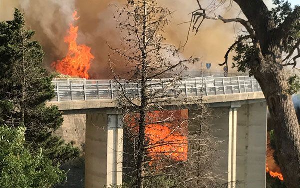 Contro gli incendi più prevenzione al Parco della Biodiversità