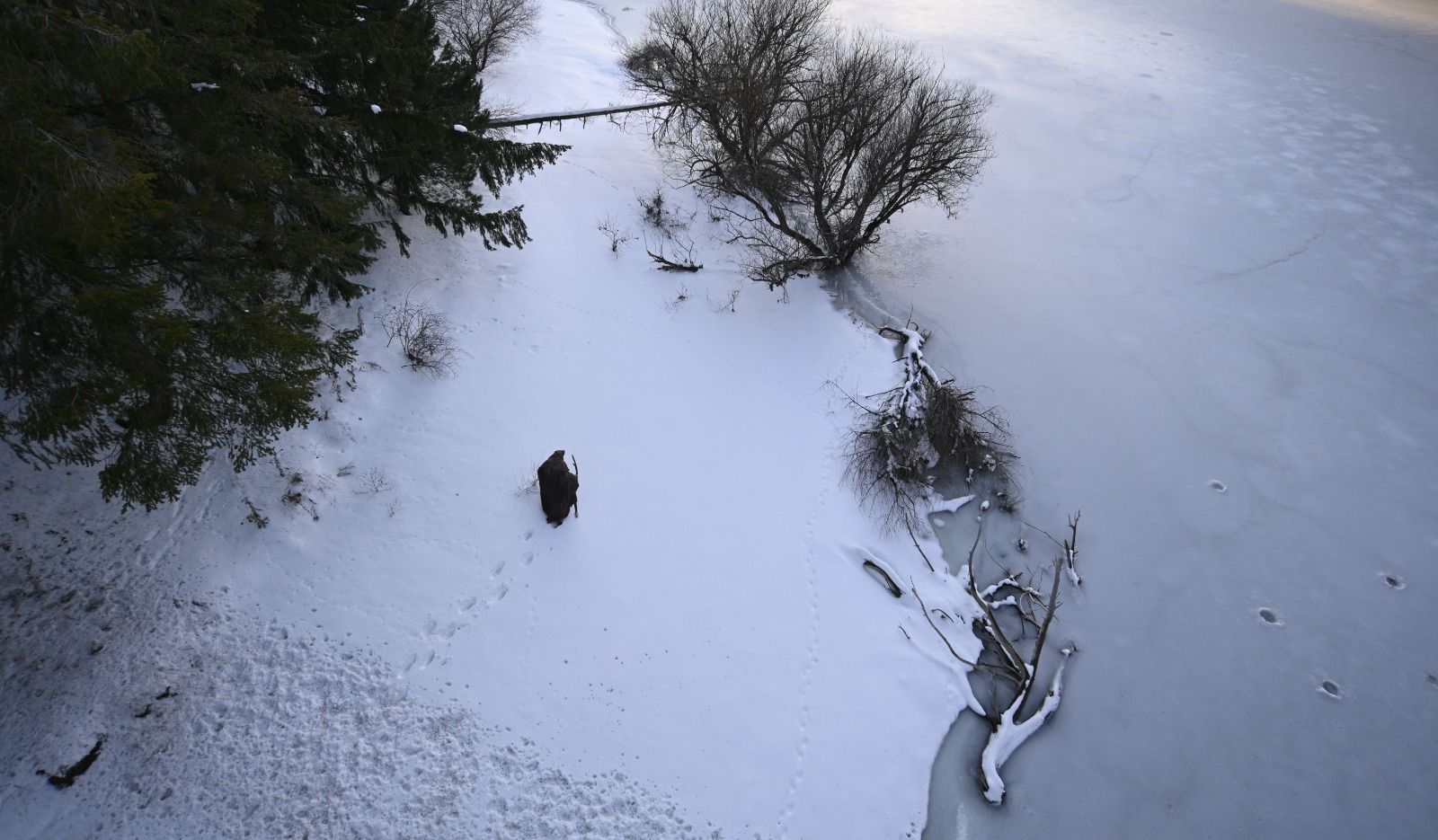 Successo a Cinecittà alla proiezione istituzionale del film “Il Monaco che vinse l’Apocalisse”