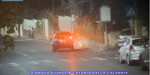 cocaina calabria sicilia devozione