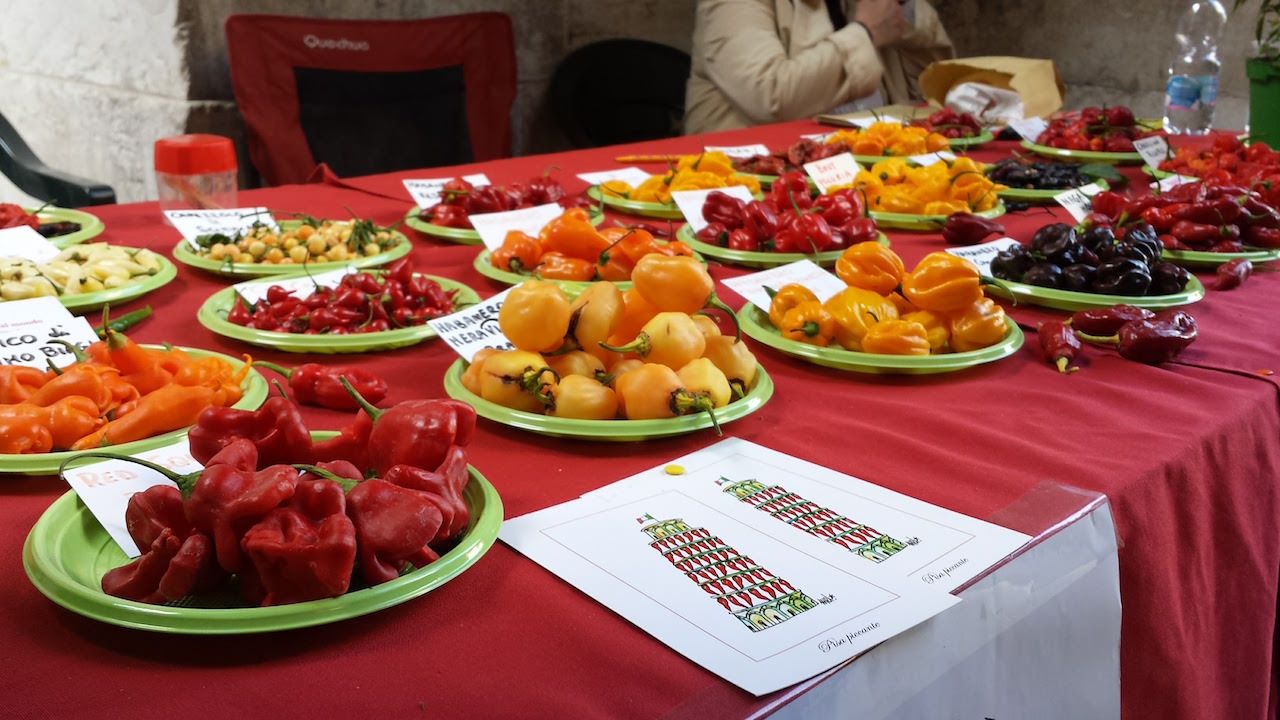 Pisa, altro grande successo della “Festa della cultura calabrese”