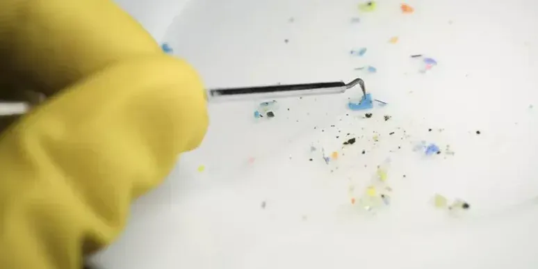 Sla e microplastiche nel cervello: un nuovo studio che apre una nuova pista