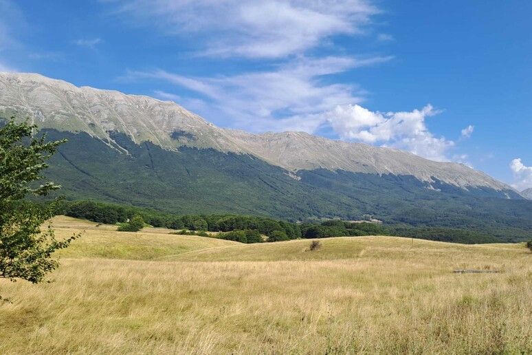 Operazione contro la mafia dei pascoli, 25 arresti