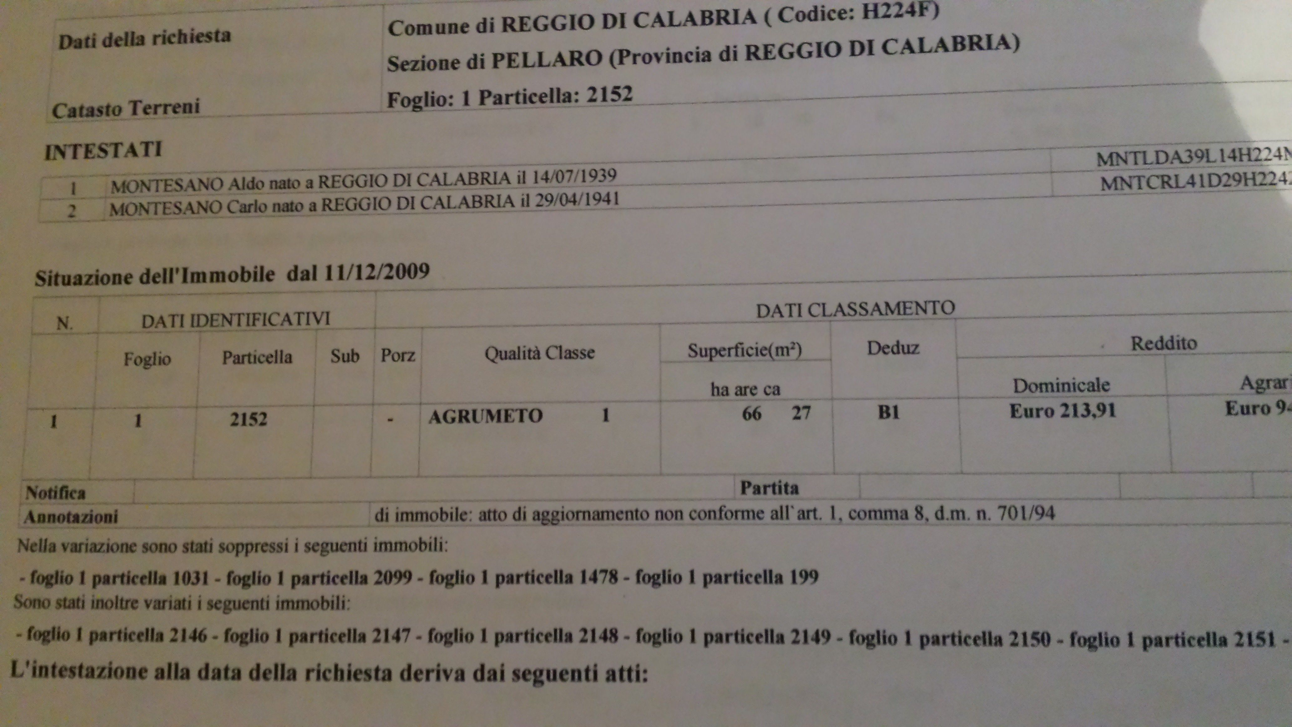 Reggio, assegnato il canile (che non c'è)