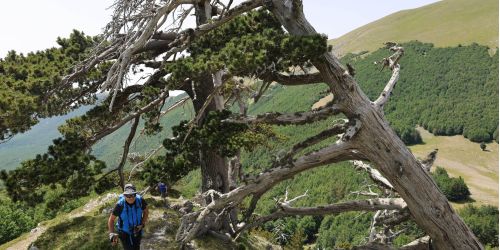 Serra delle Ciavole Bevilacqua