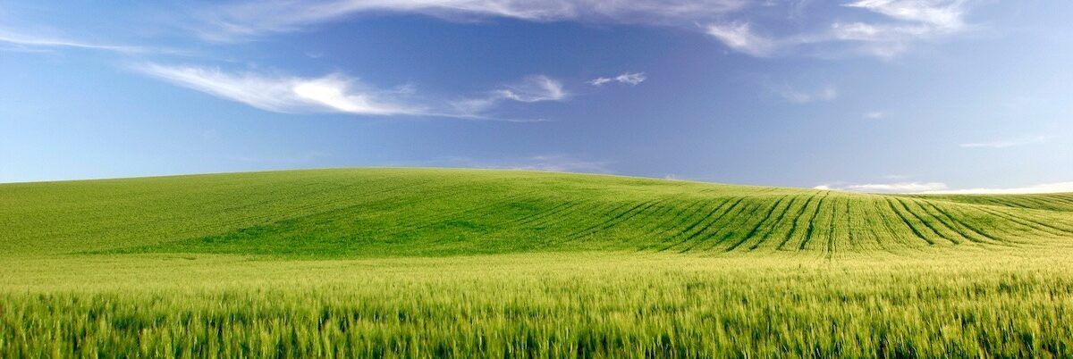 Assise di Confagricoltura, al via da domani la due giorni