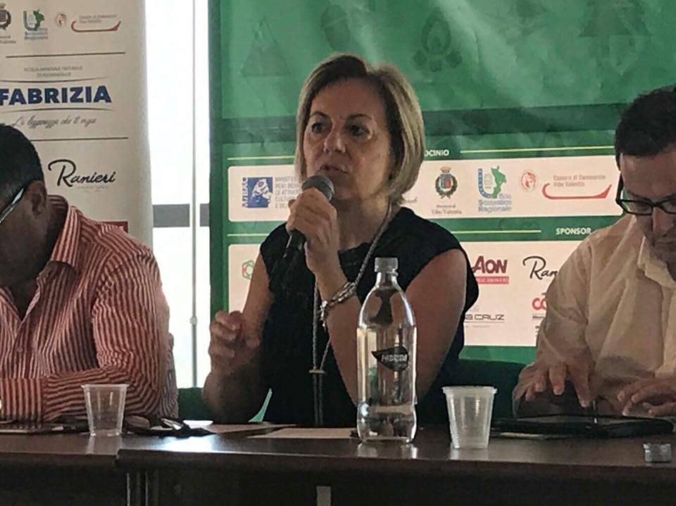 Un parco eolico nelle Serre. Sì dai Comuni, no dalla Regione