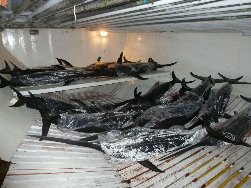 Rossano, sei denunce per pesca abusiva