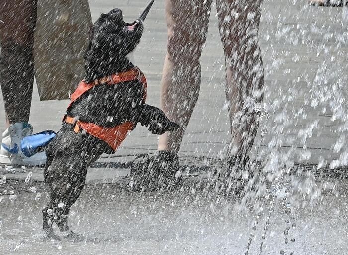 Arriva una nuova ondata di caldo, in Calabria verso picchi di oltre 40 gradi