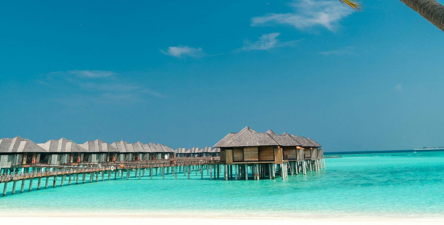 Tragedia alle Maldive, morti cinque turisti italiani