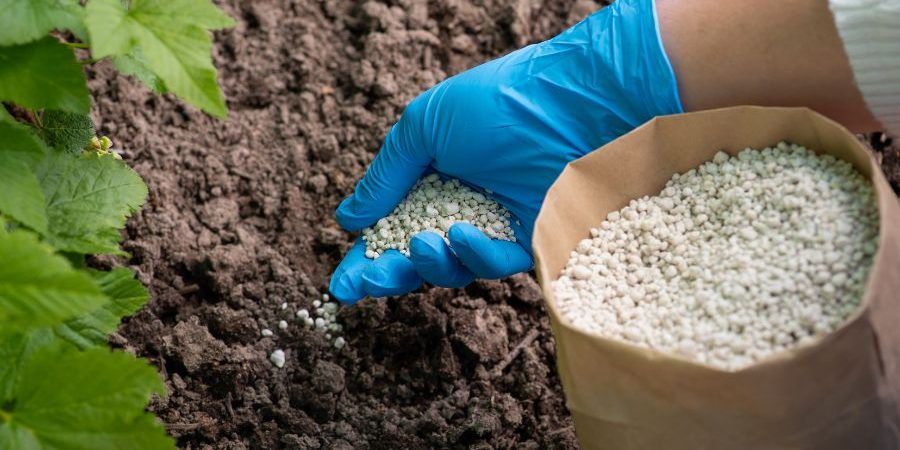 Fertilizzanti, Confagricoltura: «Aumenti eccessivi»