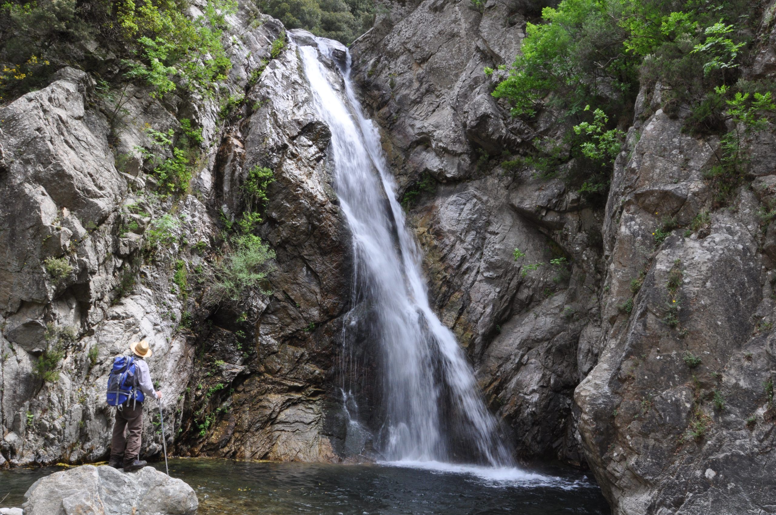 Calabria, restare o partire? Occorrerebbero degli sciamani