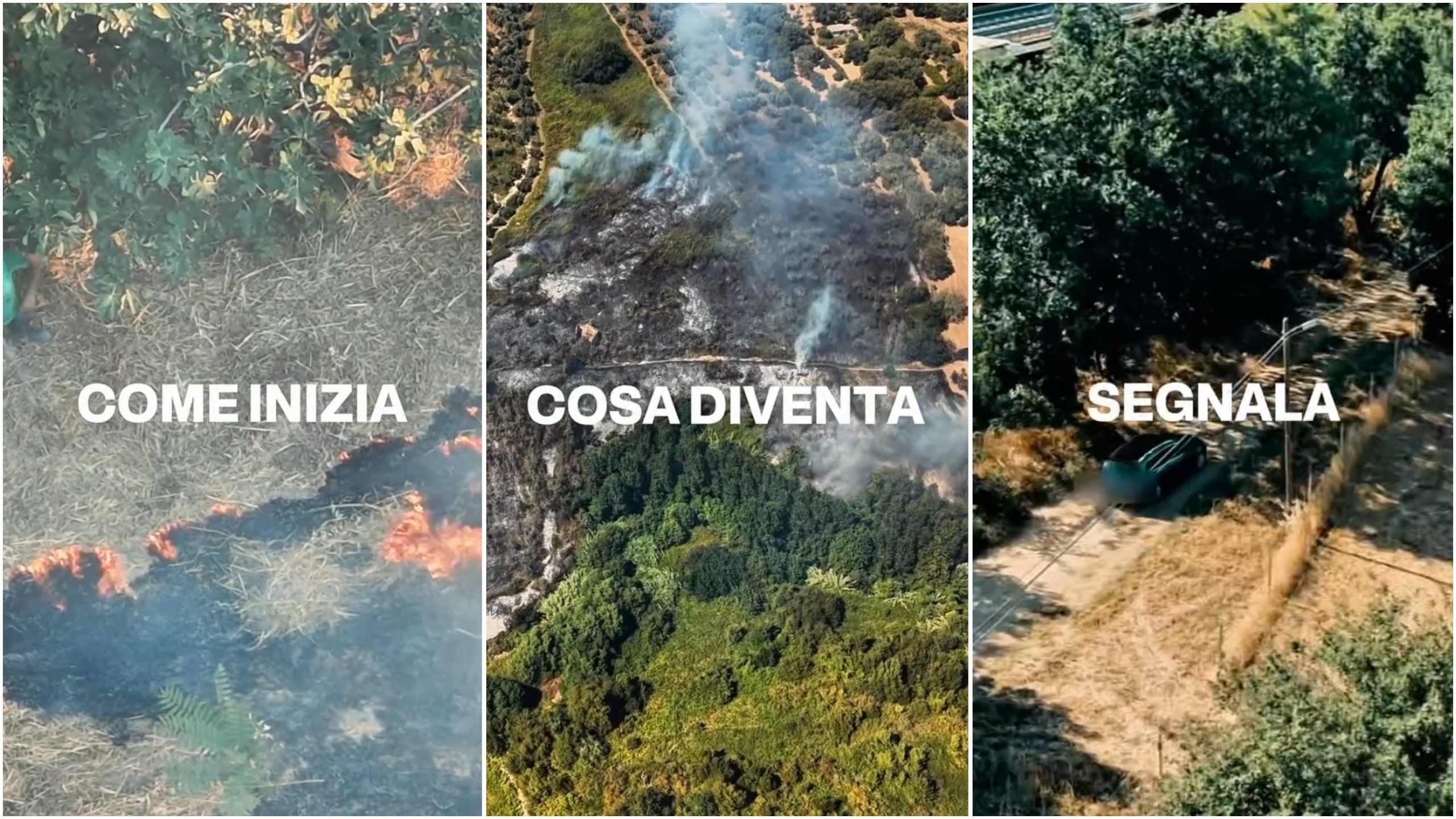 Incendi in Calabria, Occhiuto mostra come nascono i roghi. «126 incendiari presi» – VIDEO