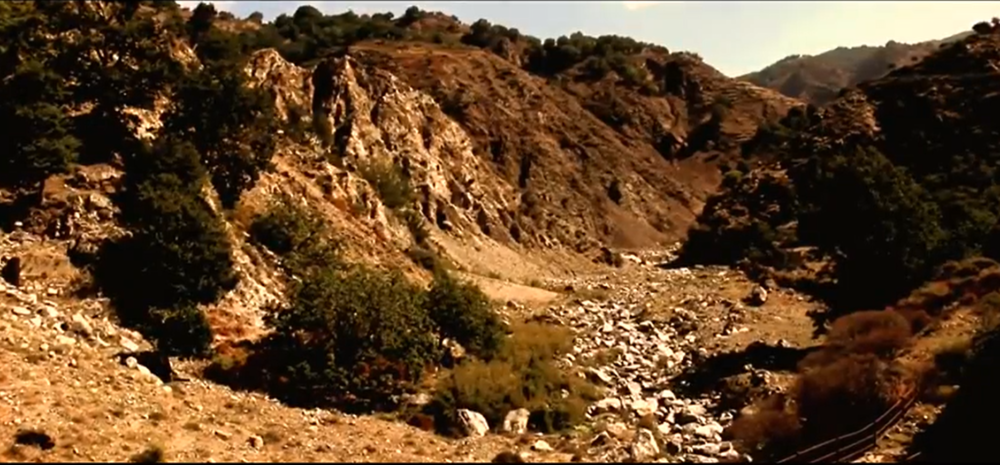 “La Calabria brucia”, i volti di donne e uomini dello spettacolo per denunciare la devastazione – VIDEO