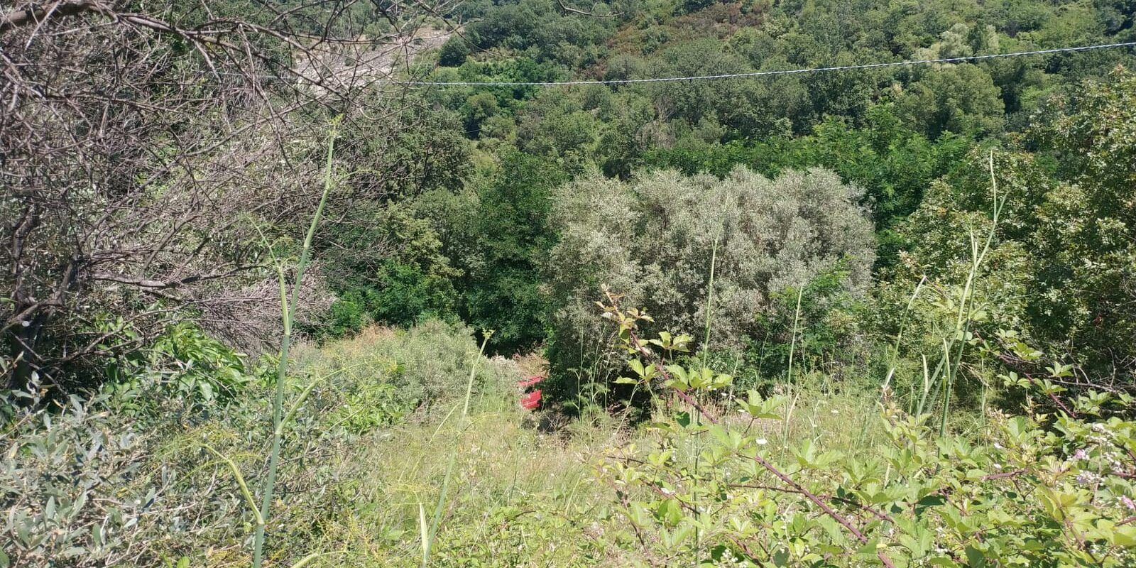 Finisce fuori strada con la sua auto e precipita per 40 metri, 87enne salvato nel Reggino