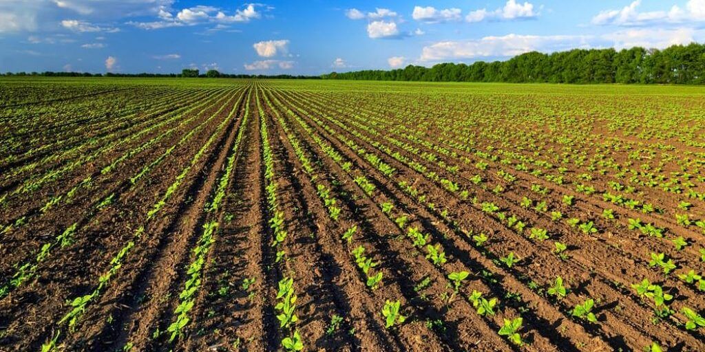 La Calabria eccelle nell’agricoltura biologica e nelle energie rinnovabili