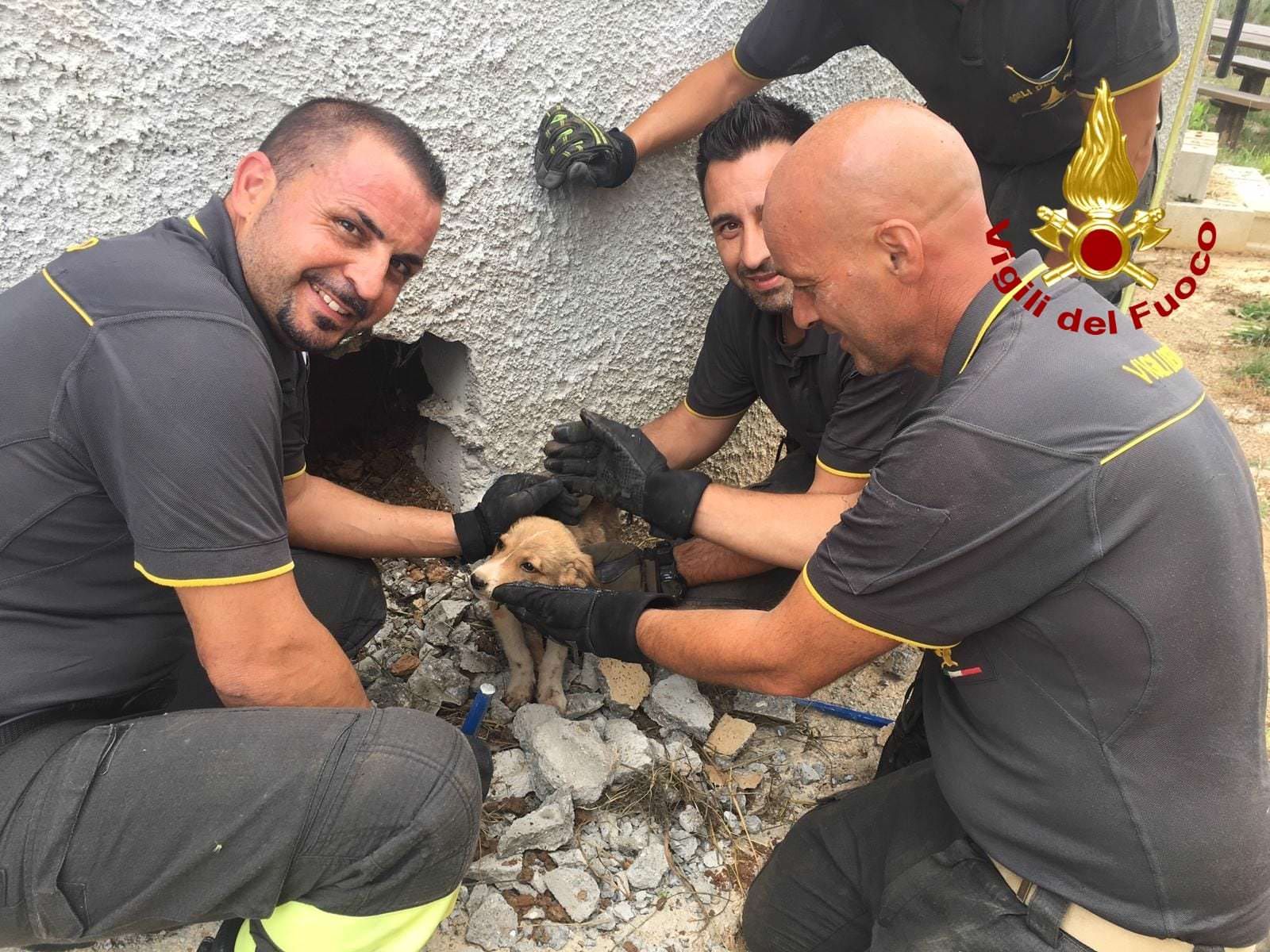 Cagnolina e cucciolo salvati dai Vigili del Fuoco