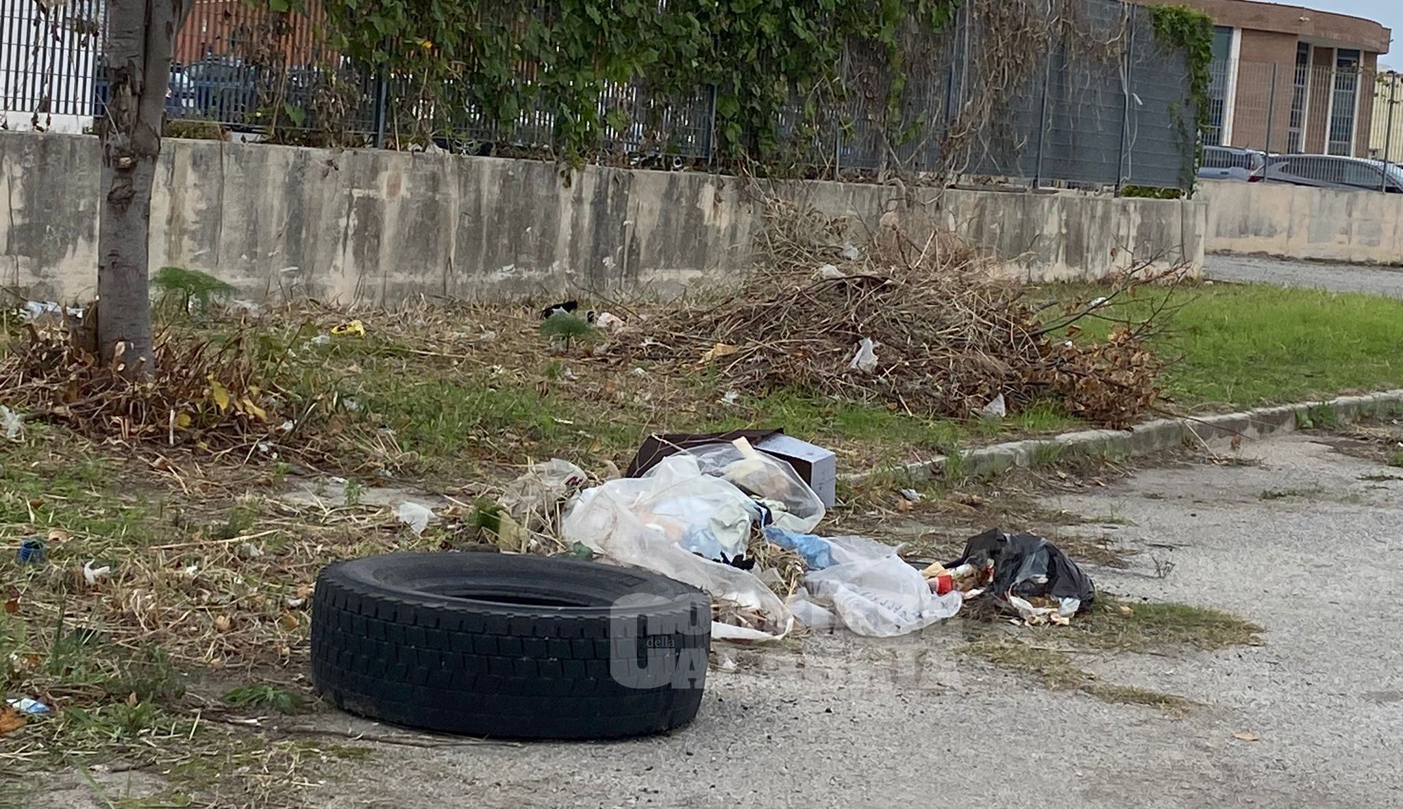 Crotone, nell’area industriale «persiste il degrado» – VIDEO E FOTO