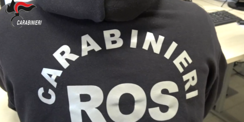 'ndrangheta gallace arresti dda