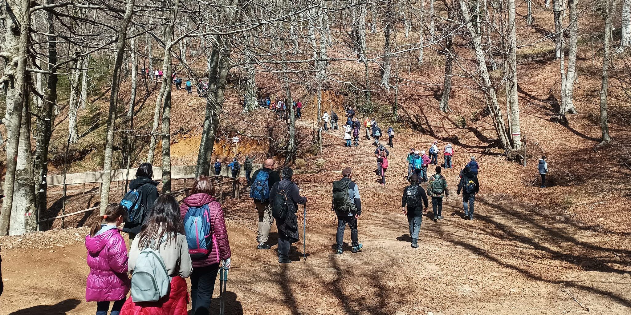 No all’eolico “selvaggio”, la marcia per l’ambiente nel cuore delle Serre catanzaresi – FOTO e VIDEO