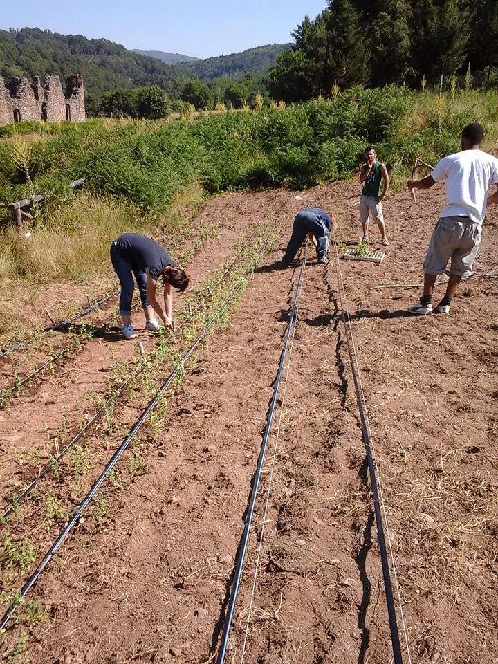 Anche in Calabria la Settimana nazionale della bonifica