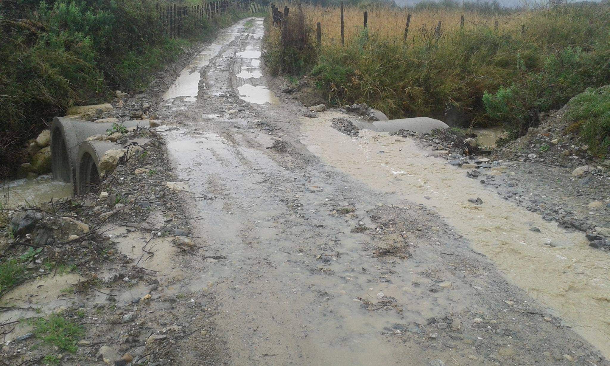 Scala Coeli, sì alla discarica tra le colture Dop. «Intervenga Oliverio»