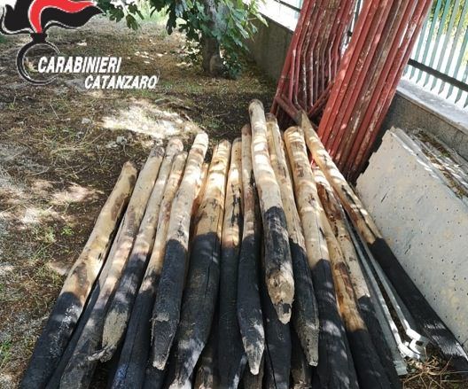 Ruba pali di legno da un’azienda agricola, denunciato