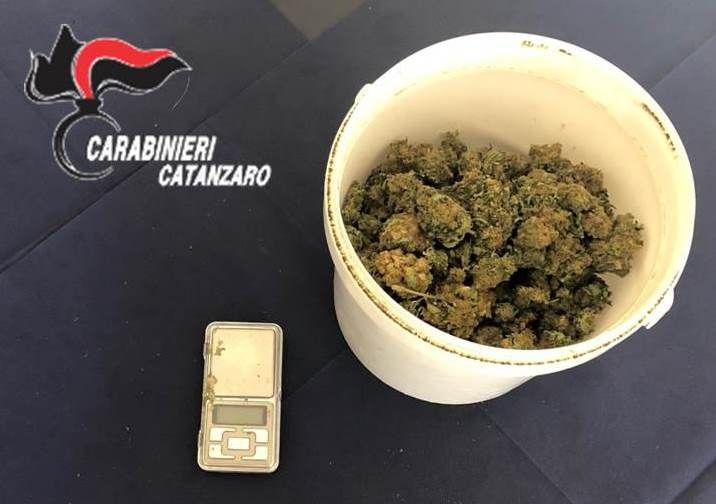Marijuana, hashish e munizioni: 2 arresti a Catanzaro