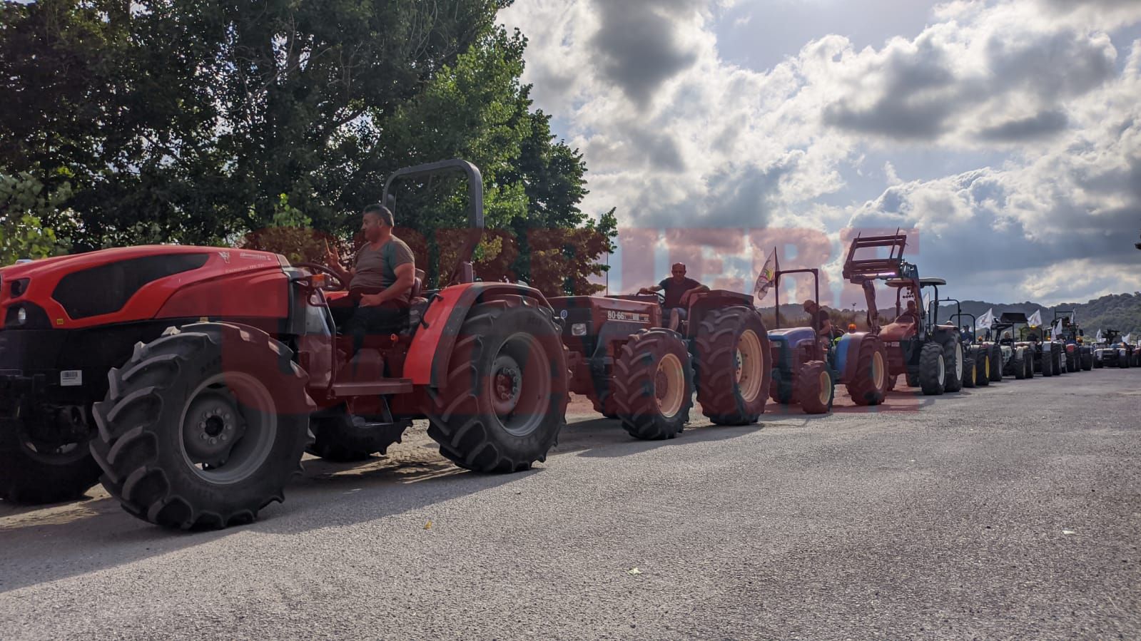 Costi elevati e speculazioni: gli agricoltori calabresi “invadono” Lamezia – FOTO e VIDEO