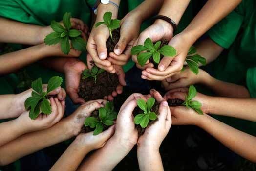 Nasce la Rete di “Scuole Go Green” supportata da Legambiente Calabria
