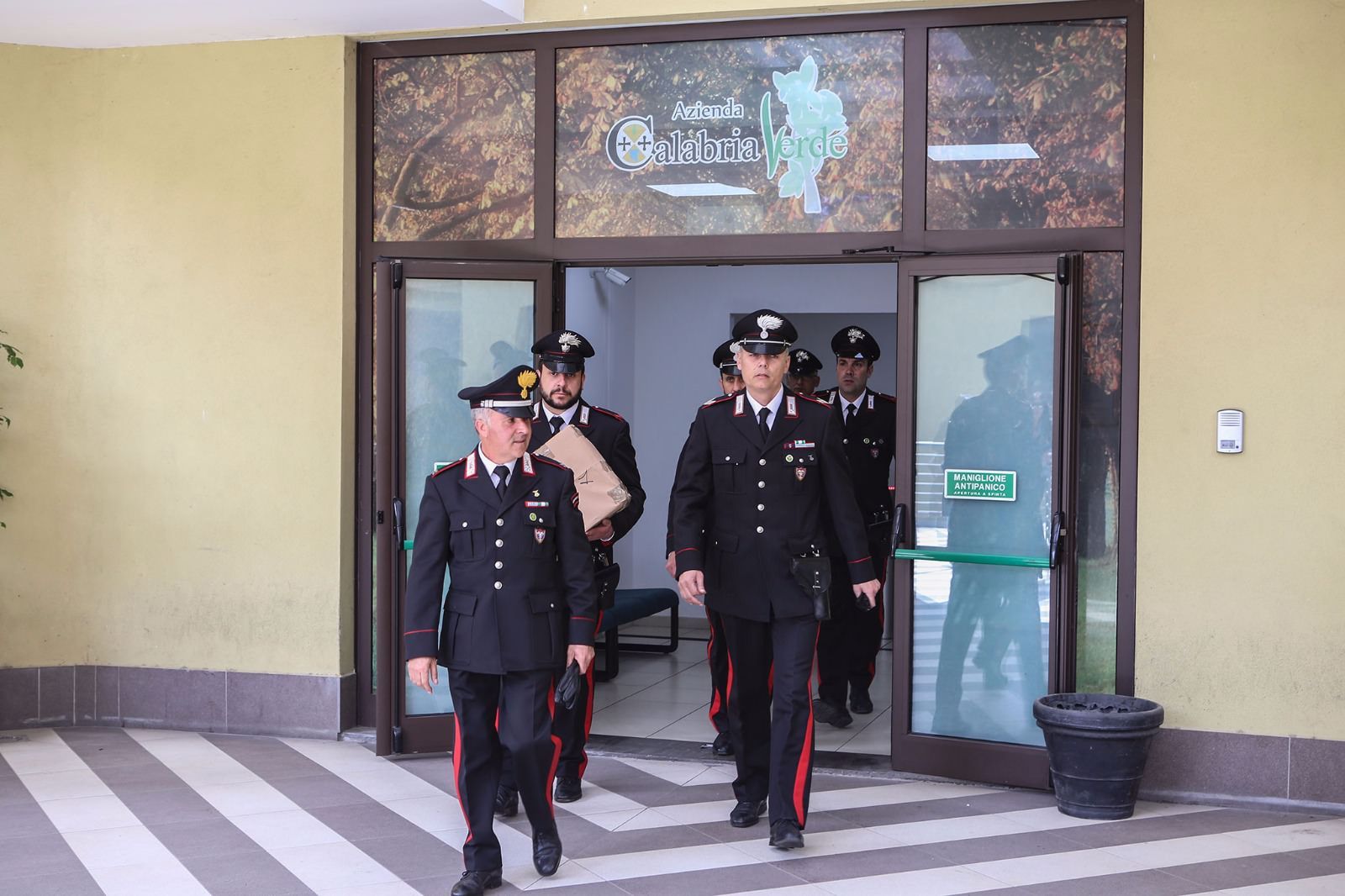 Tangenti per i tagli boschivi, il panico dopo gli arresti della Dda