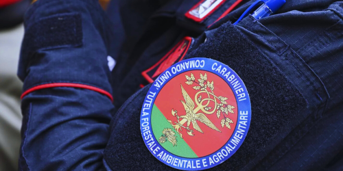 Carabiniere Forestale ndrangheta cracolici